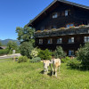 2363 Grund m.. BH